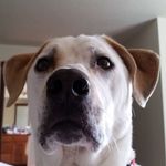 Profile Picture of Chad Oswald (@oswald_chad) on Instagram