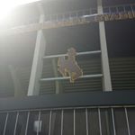 Profile Picture of Hayden Hayes (@haydenld2005) on Instagram