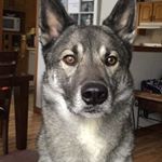 Profile Picture of Matthew Stefan (@matthewstefan99) on Instagram