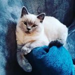 Profile Picture of Christop Salzmann (@christopsalzmann) on Instagram