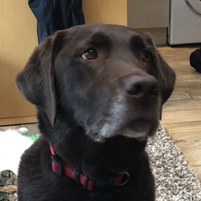 Profile Picture of Vicky Main (@MainVicky) on Twitter