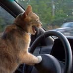 Profile Picture of Carroll Hageman (@Carroll-Hageman) on Facebook