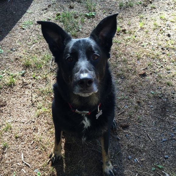 Profile Picture of Ariel Goss (@arielgoss) on Poshmark