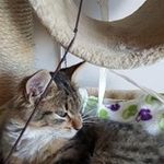 Profile Picture of Loreta Burneikiene (@loretaburneikiene) on Instagram