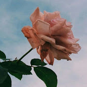 Profile Picture of Lucia Canales  (@LuciaCanalesReyes) on Youtube