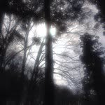 Profile Picture of satchiyo miyamoto (@satchiyo) on Instagram