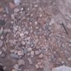 Profile Picture of Jayson Cody825 (@@jaysoncody1) on Tiktok