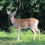 Profile Picture of Nicholas Blaine (@Nicholas-Blaine) on Facebook