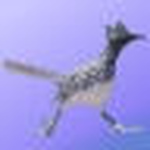 Profile Picture of Geoffrey King (@dogmycats) on Flickr