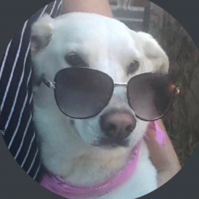 Profile Picture of Lukas Gage (@Jeffrey96789320) on Twitter