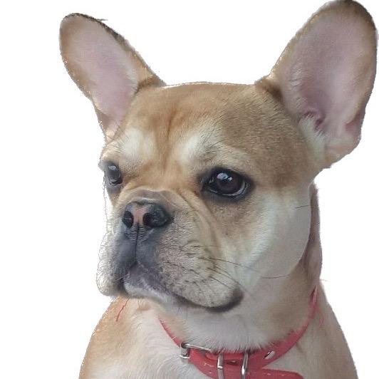 Profile Picture of Fifi0202 (@michalfijal4) on Tiktok