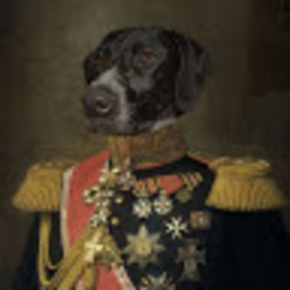 Profile Picture of Josh Emerson (@carolscloset80s) on Poshmark