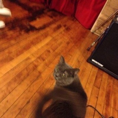 Profile Picture of Ao Liu (@Al3218Ao) on Twitter