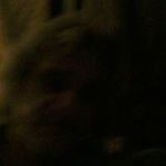 Profile Picture of Randy Schroeder (@randy21schro) on Instagram