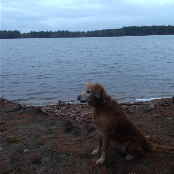 Profile Picture of Monica Nowicki (@monicanow) on Poshmark