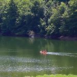 Profile Picture of Catalin Enescu (@borrov.catalin) on Instagram