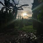 Profile Picture of Jimmy Padillo (@jimmy.padillo.508166) on Facebook