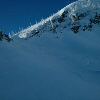 Profile Picture of Sean Vogel (@vogel_) on Twitter