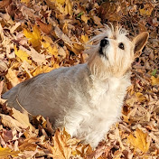 Profile Picture of Richard Ventrella (@richardventrella) on Youtube