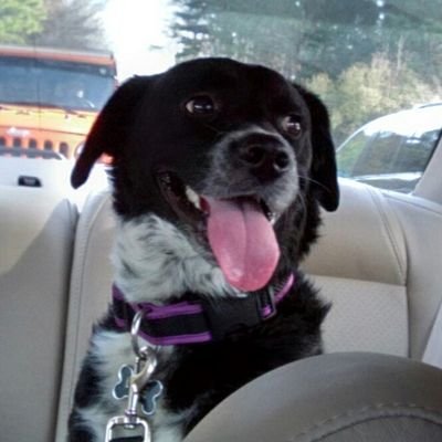 Profile Picture of Paula Rieck (@paula_rieck) on Twitter