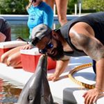 Profile Picture of Steve Torretto (@incognitoguido) on Instagram