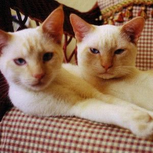 Profile Picture of Linda Olsavsky (@retrodolls1950) on Myspace