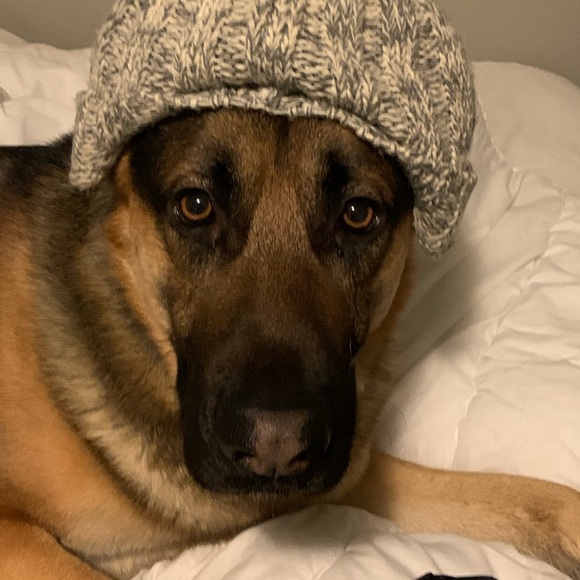 Profile Picture of Alex Yanez (@alexyanez352) on Poshmark