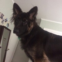 Profile Picture of Jennifer Haase (@jennifer-haase-1) on Quora