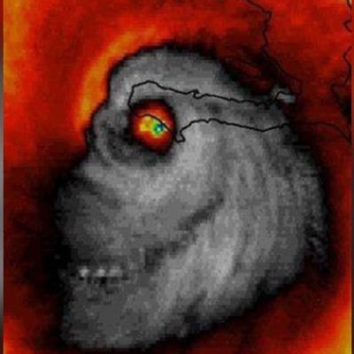 Profile Picture of Matthew (@matt_cane2016) on Twitter