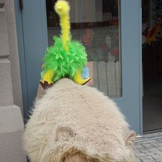 Profile Picture of Paul Ahrthoder (@paul.ahrthoder) on Facebook