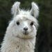 Profile Picture of Verna Gaming (@jarvisv48) on Pinterest