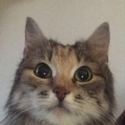 Profile Picture of Leison Mike Slim (@lais2n) on Twitter