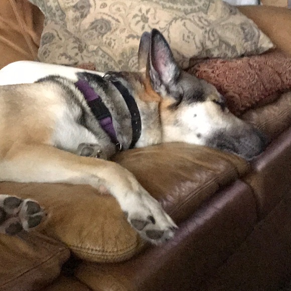 Profile Picture of Tammy Sjurseth (@tambourine1018) on Poshmark