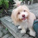 Profile Picture of Maria Digna Ramos (@ramosmariadigna) on Instagram