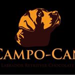 Profile Picture of Antonio Rebollo (@campocan) on Instagram