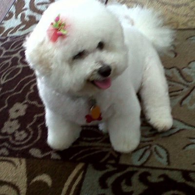 Profile Picture of LaJessie Arrington (@LaJessieArring2) on Twitter