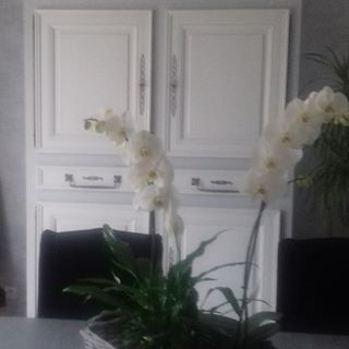 Profile Picture of Danièle Helie Berland (@daniele.helie.7) on Facebook