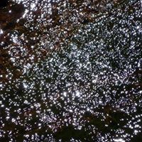 Profile Picture of José Prat (@josé-prat) on Quora