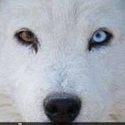 Profile Picture of danielmoine (@danielmoine) on Tiktok