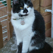 Profile Picture of Jim Stuart (@jimstuart1001) on Youtube