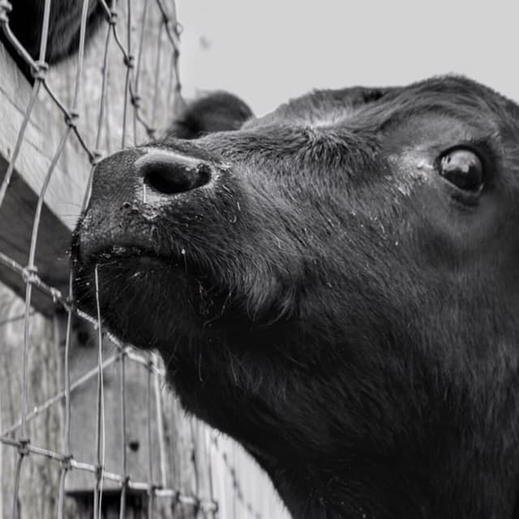 Profile Picture of Rebecca Clothier (@rlclothier75) on Poshmark