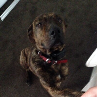 Cooper Phillips - Twitter Profile Picture of Cooper Phillips (@cooperphillips6) on Twitter