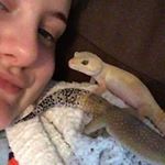 Profile Picture of Bob Roger Hammett (@robertthegecko) on Instagram