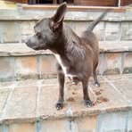 Profile Picture of Emanuela Generali (@emanuela.generali.5) on Facebook