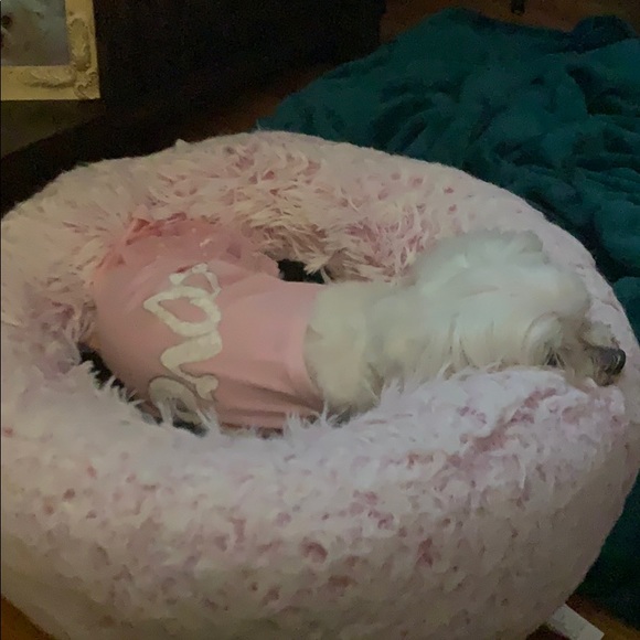 Profile Picture of Debbie Sellers (@dks52) on Poshmark