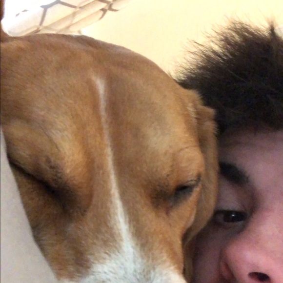 Profile Picture of Jameson Regan (@jregan15) on Poshmark