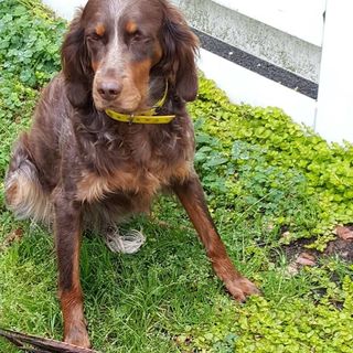 Profile Picture of Patrick Bossart (@patrick.bossart.52) on Facebook