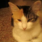 Profile Picture of Travis Hutchins (@Travis-Hutchins) on Facebook