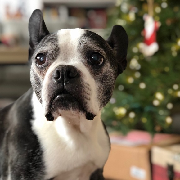 Linda Engleman - Poshmark Profile Picture of Linda Engleman (@lindaengleman) on Poshmark