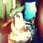 Profile Picture of Jason McCary (@chinkeric) on Instagram